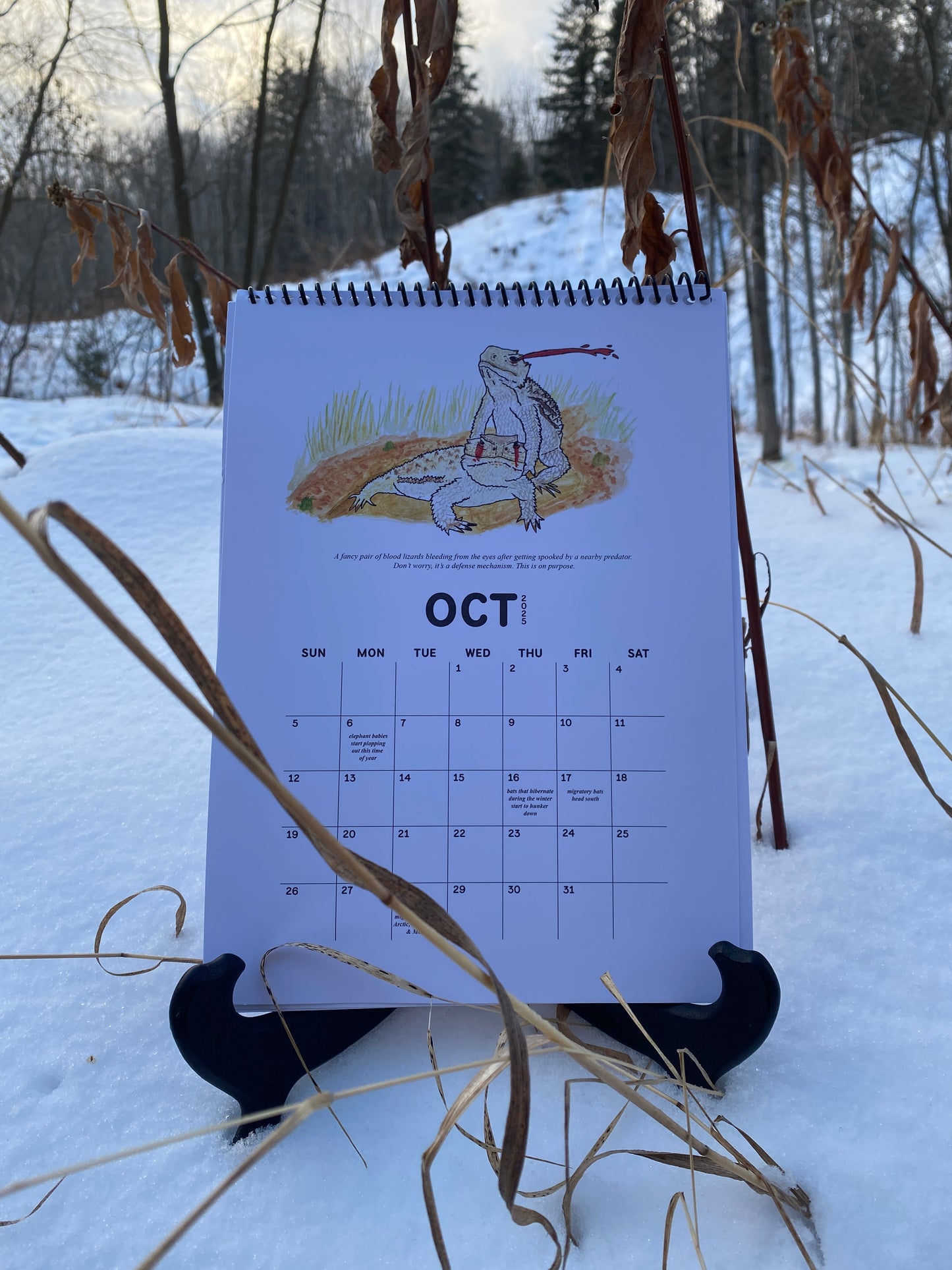 Frick, I Love Nature | 2025 Nature Events Calendar