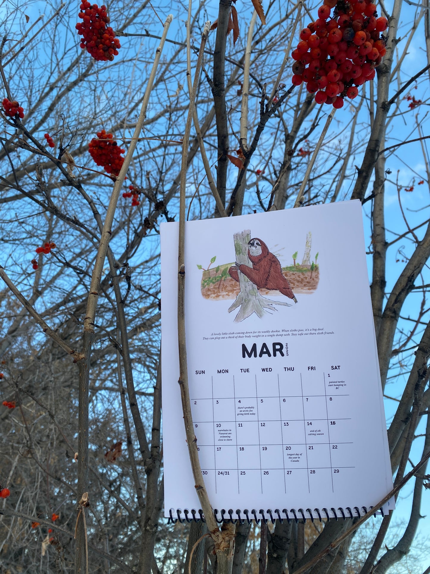Frick, I Love Nature | 2025 Nature Events Calendar