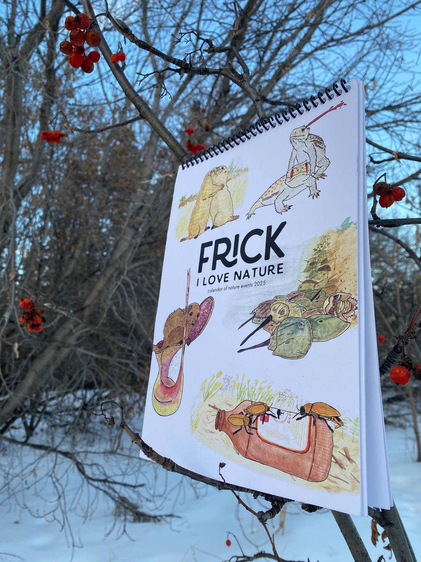 Frick, I Love Nature | 2025 Nature Events Calendar