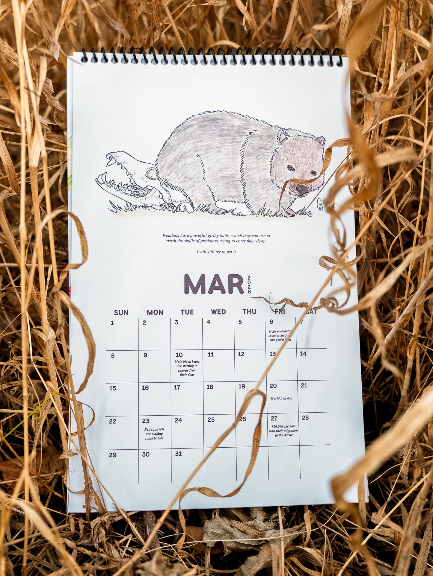 Frick, I Love Nature | 2026 Nature Events Calendar